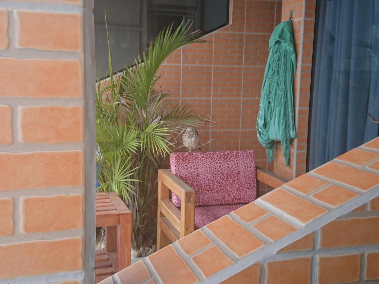 Pousada Suites Do Santinho Florianópolis Eksteriør billede